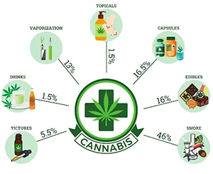 Important Dummy Questions about Marijuana (Facts Check on Cannabis)